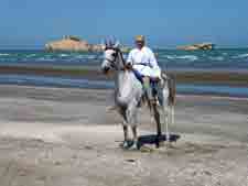 Oman-Sultannate-Sinbad and the Arabian Nights